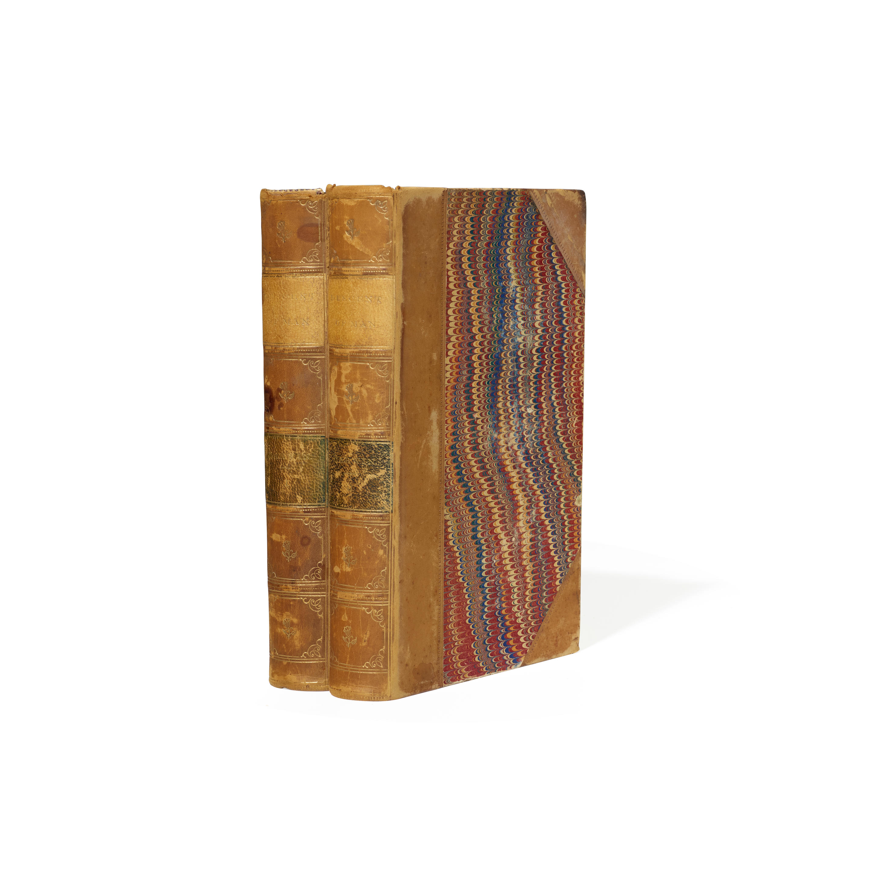 DARWIN CHARLES 1809 1882 The Descent of Man and Selection