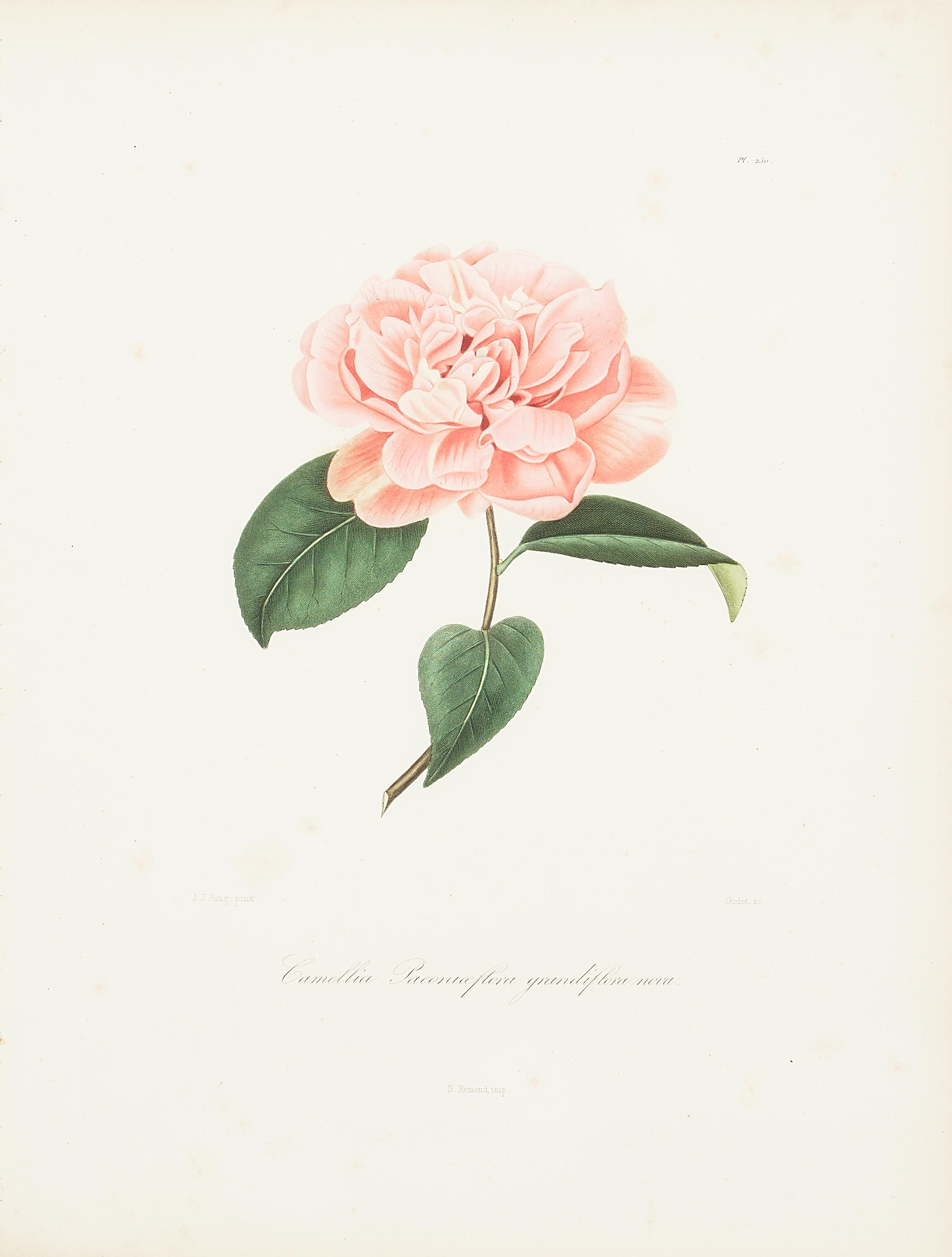 ABB LAURENT BERL SE 1784 1863 Four Plates from Iconographie