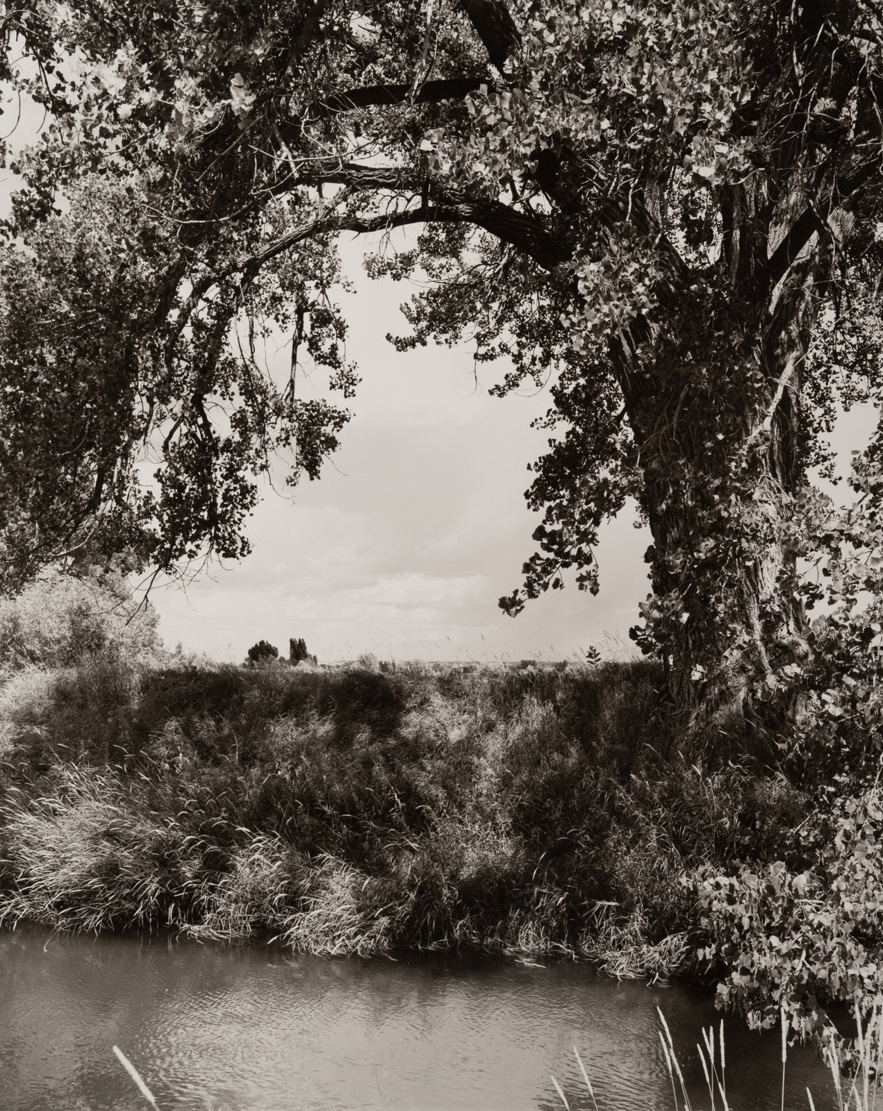 Robert Adams American b 1937 Loveland CO early 1990 s