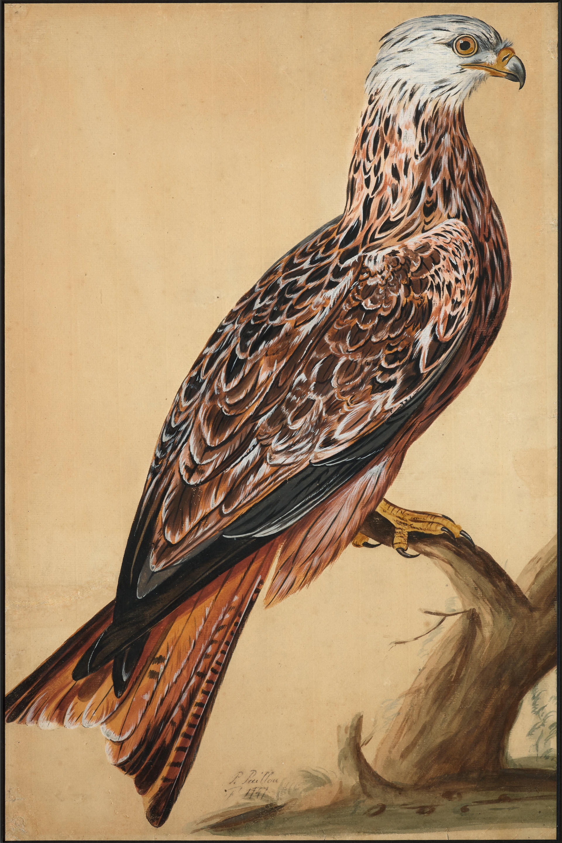 PETER PAILLOU ACTIF EN ANGLETERRE CIRCA 1720 CIRCA 1790 Milan