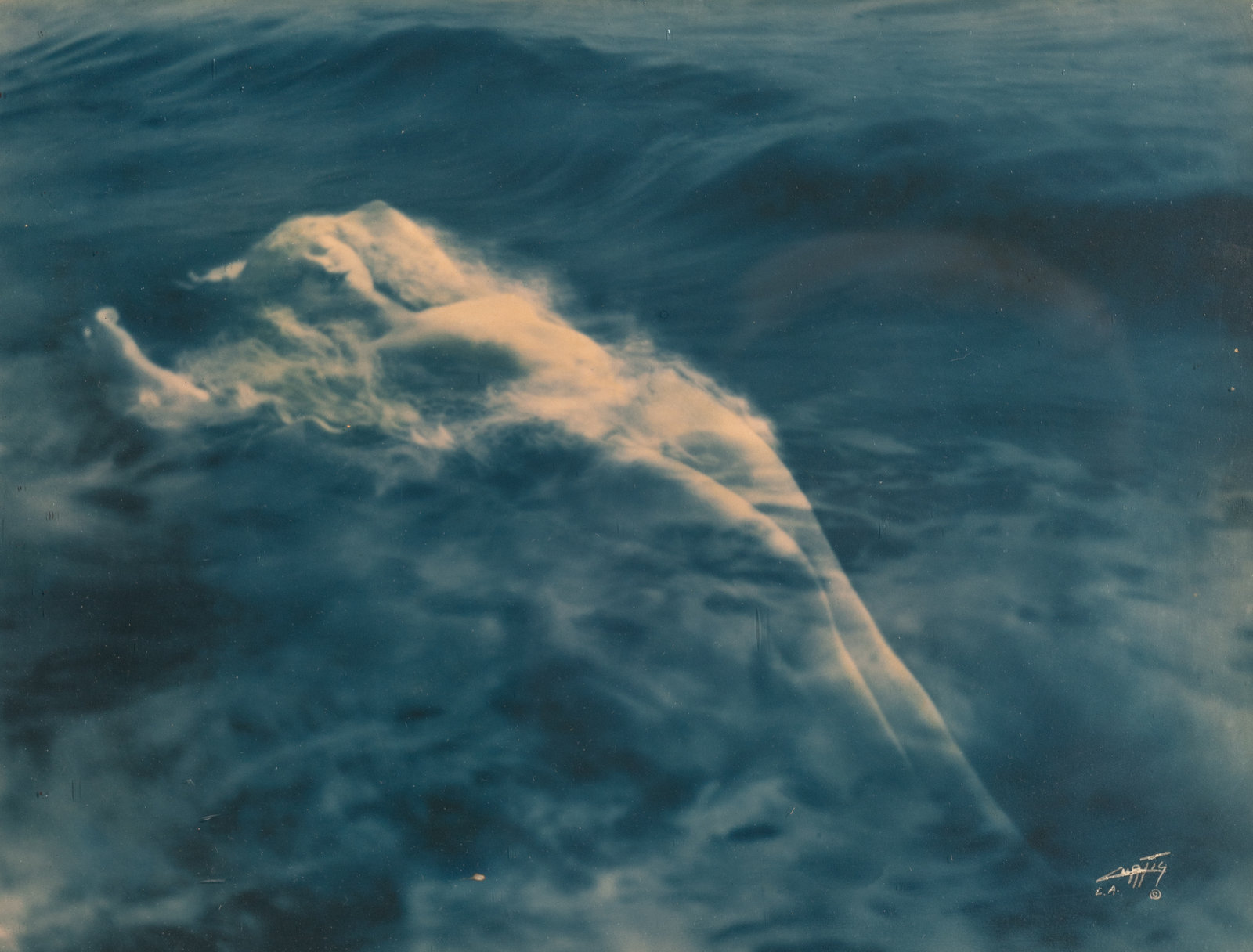 Edward S Curtis 1868 1952 Floating Aphrodite c 1920 Blue