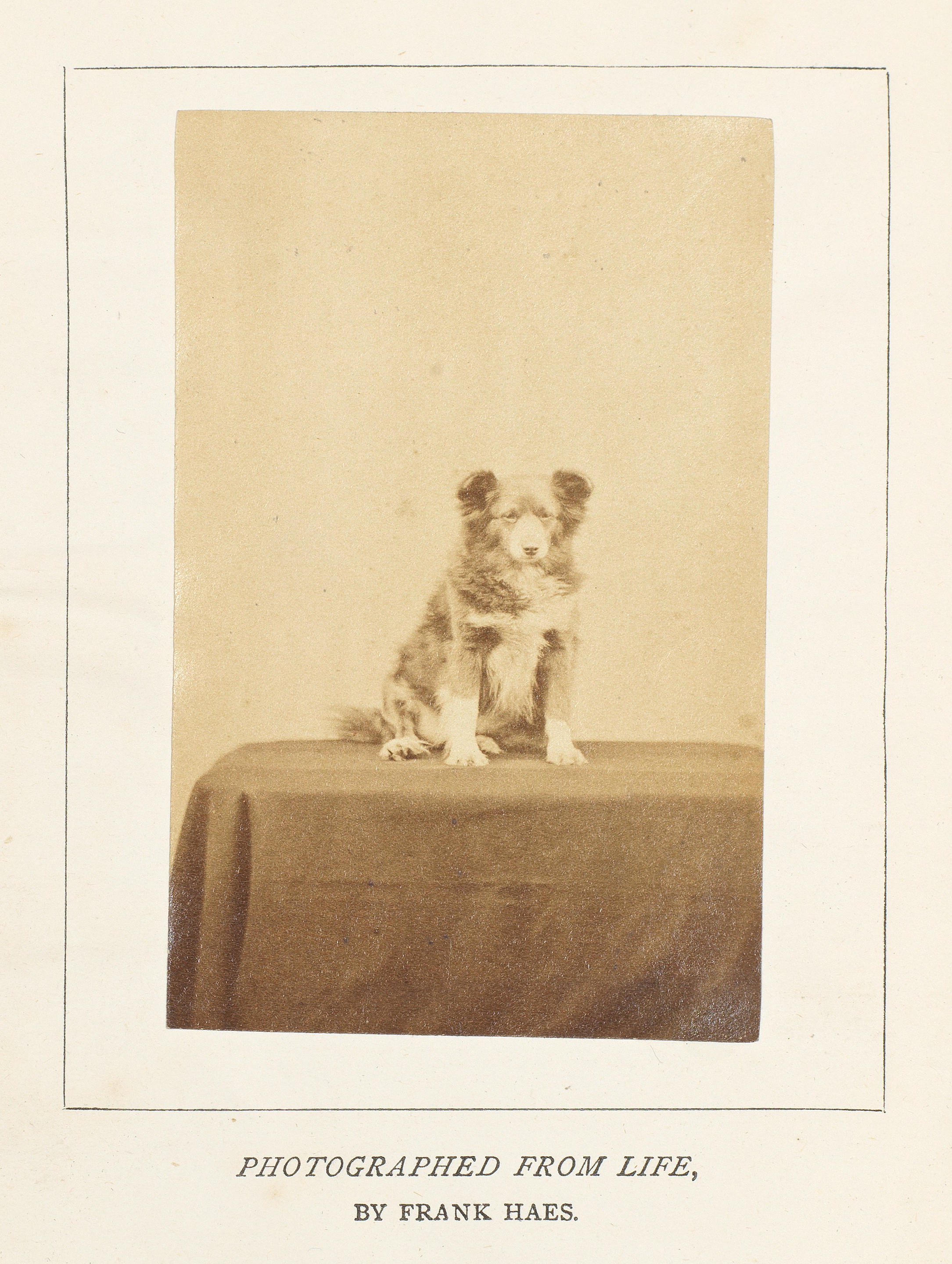 PHOTOGRAPHY ILLUSTRATED BOOKS COBBE FRANCES POWER The Confessions of a